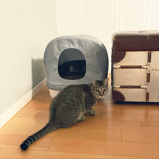 adgjmptwさんの実例写真