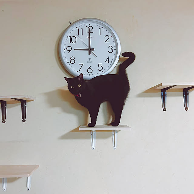 prelumoさんの実例写真
