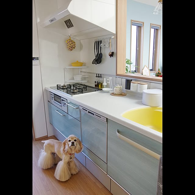 Shooowkoさんの実例写真