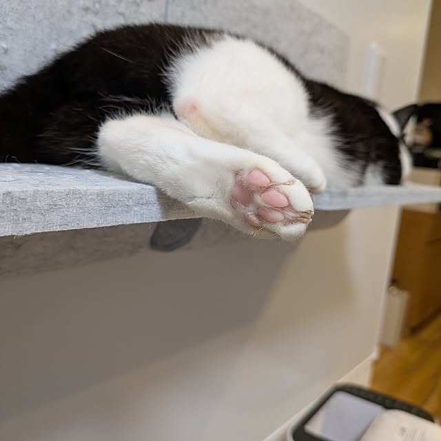 hihaさんの部屋