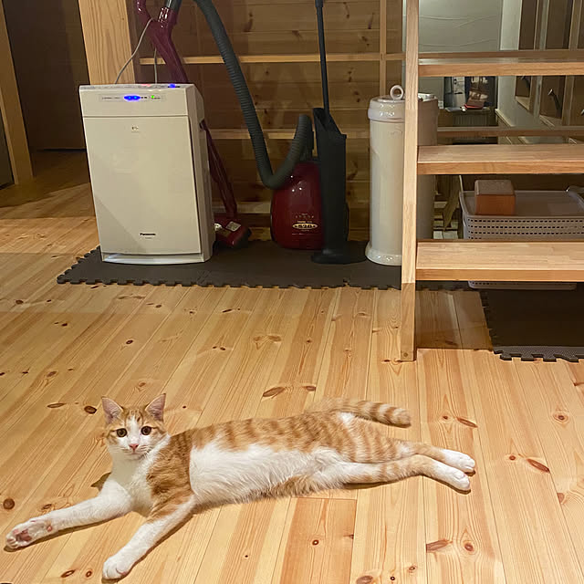 senbei.sakuramochiさんの実例写真