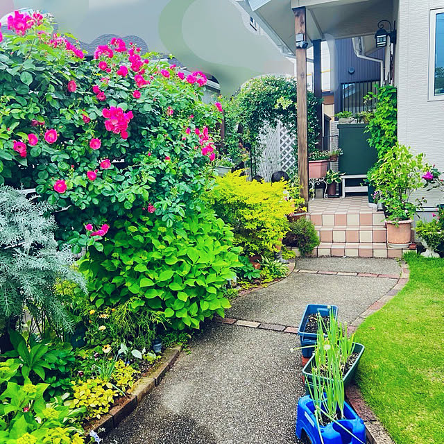hinamamaさんの部屋