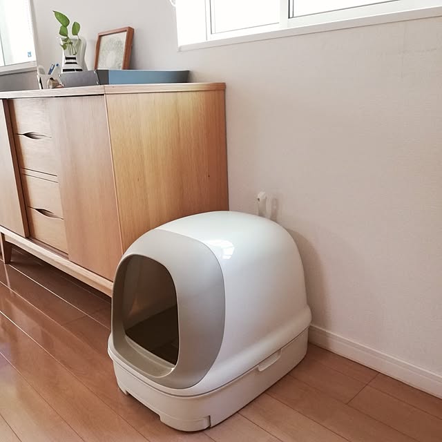 pinokoさんの部屋