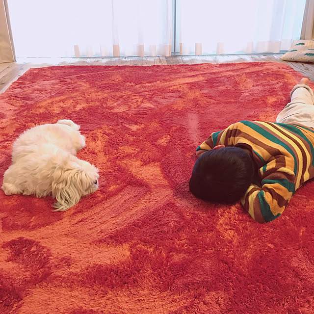 JASMINEさんの実例写真