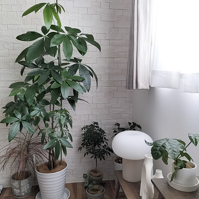 coco0.84.さんの部屋