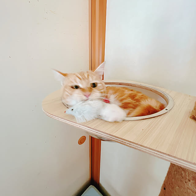 moolさんの部屋