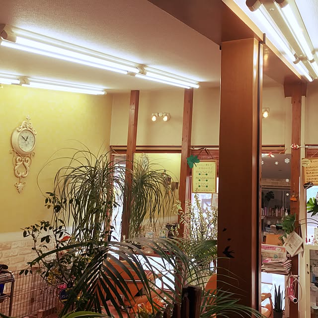 Kazuyoさんの実例写真