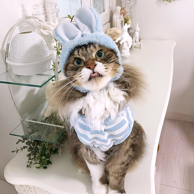 yuchiさんの実例写真