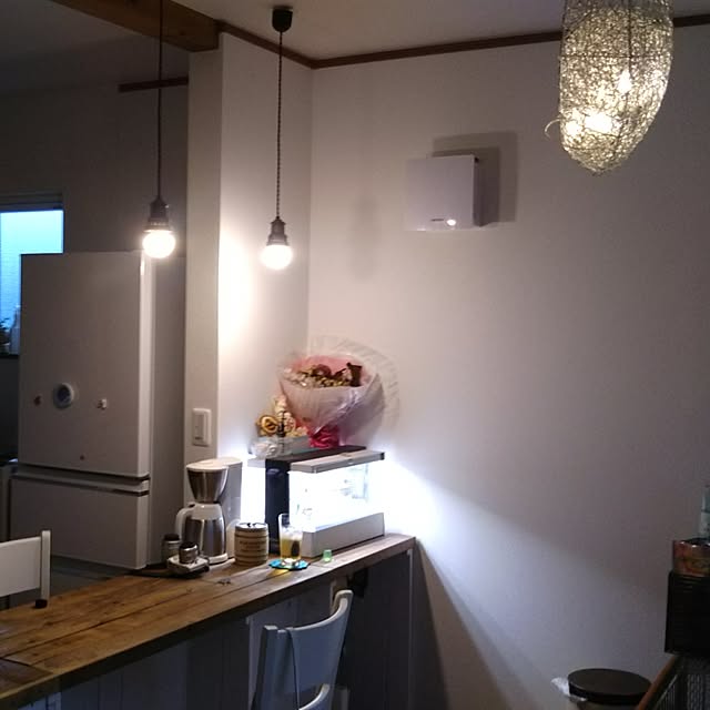 キッチン/照明/うさぎと暮らすのインテリア実例 - 2017-07-02 18:48:21