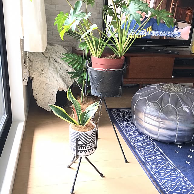 ayayuriさんの実例写真