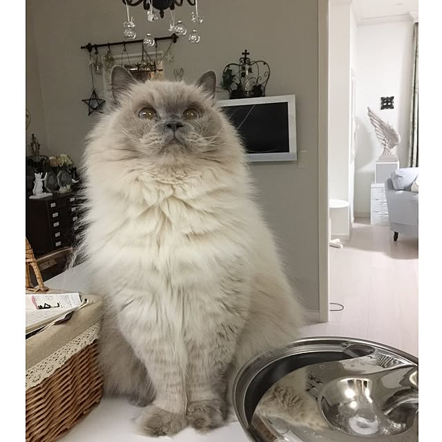 yuchiさんの実例写真