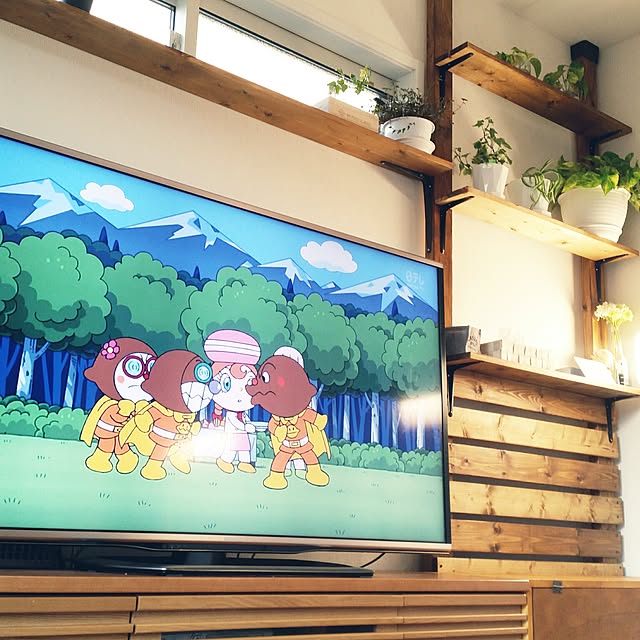 壁/天井/観葉植物のインテリア実例 - 2017-01-31 07:48:44