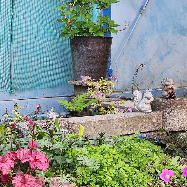 GreenHomeさんの部屋
