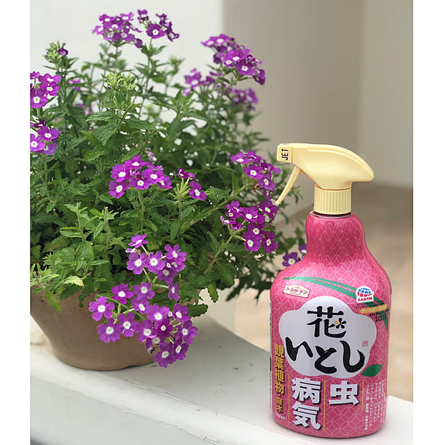 syungikuさんの実例写真