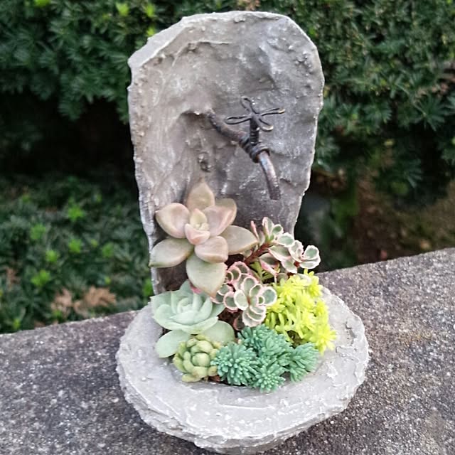 rurucchiさんの実例写真