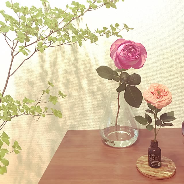 ayuさんの実例写真