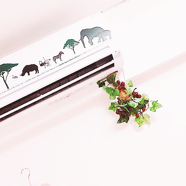 Misuzuさんの実例写真