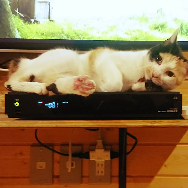 guerrilla.radioさんの実例写真