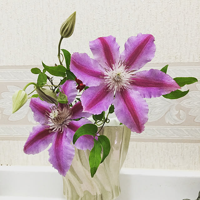 mayacchi_houseさんの実例写真