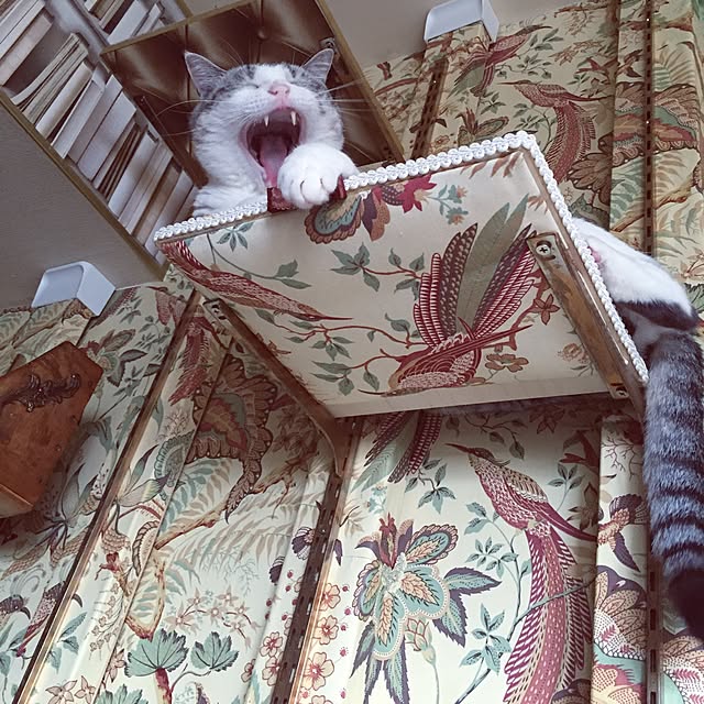 emmyyさんの実例写真