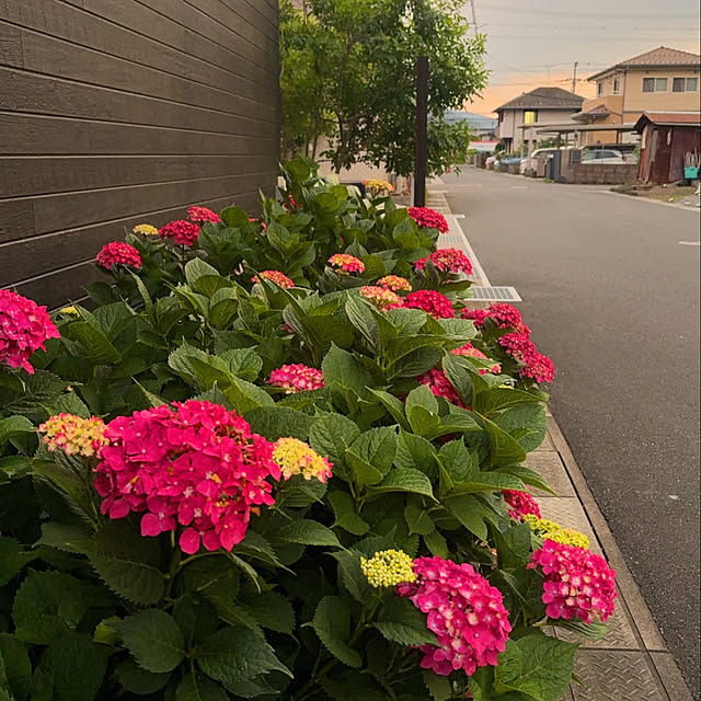 hanaさんの実例写真
