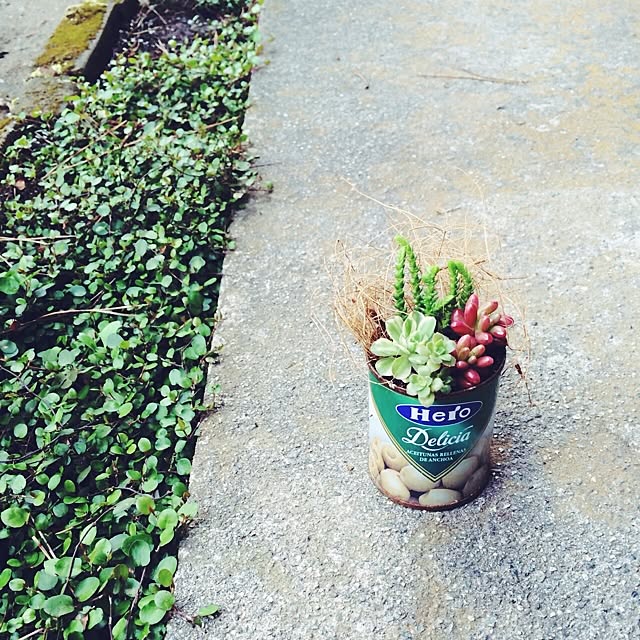 Fellowさんの実例写真