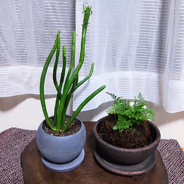 mtmtさんの実例写真