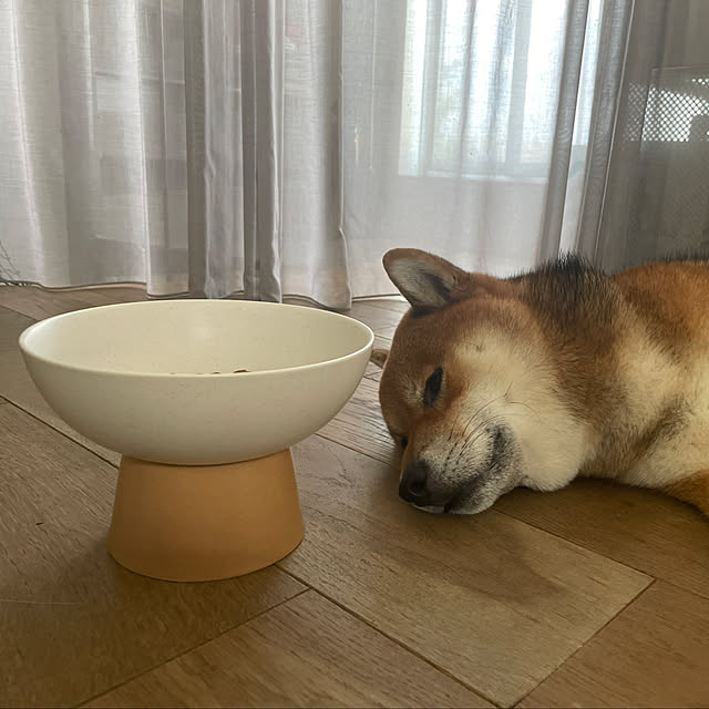 r_i_c_aさんの実例写真