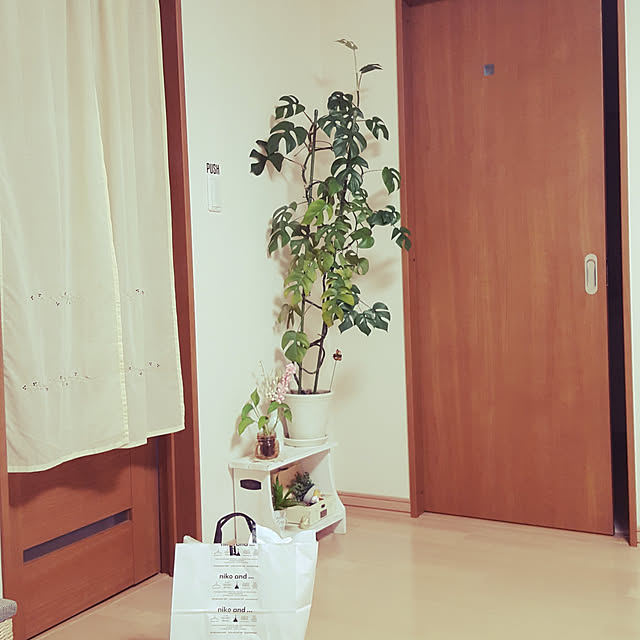 natyenaoさんの実例写真