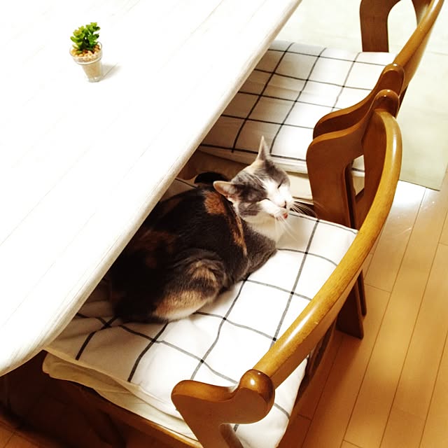 sisimaru1023さんの実例写真