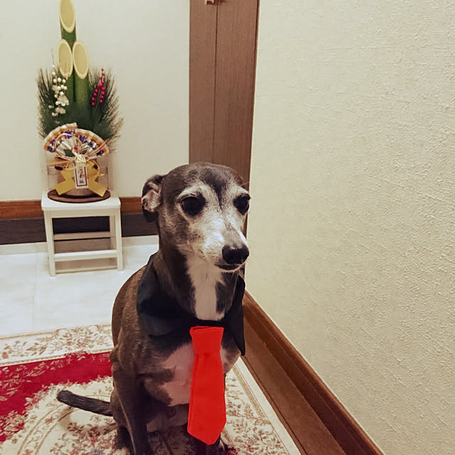 moruさんの実例写真