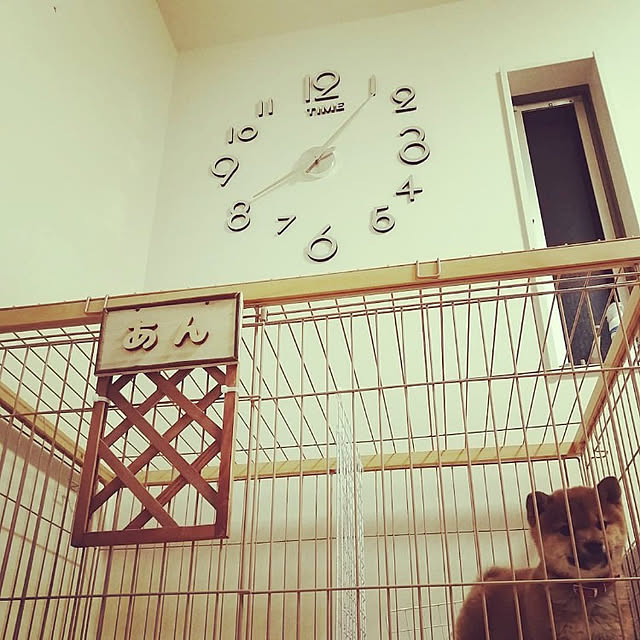 gokigen_obasanさんの実例写真