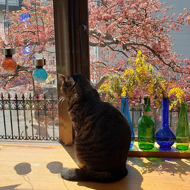 Mayumi8888さんの実例写真