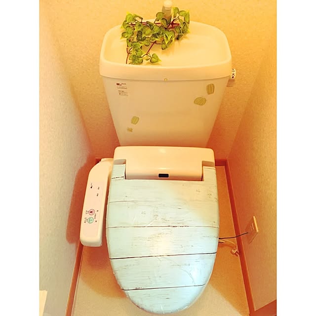 mahaloさんの実例写真