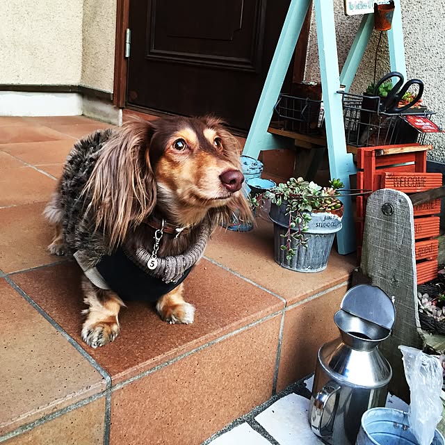 yupponさんの実例写真