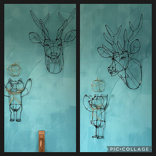 roco_tanさんの部屋