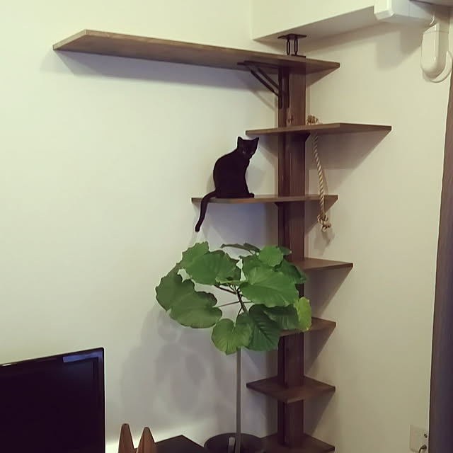 kuni_yoneさんの実例写真