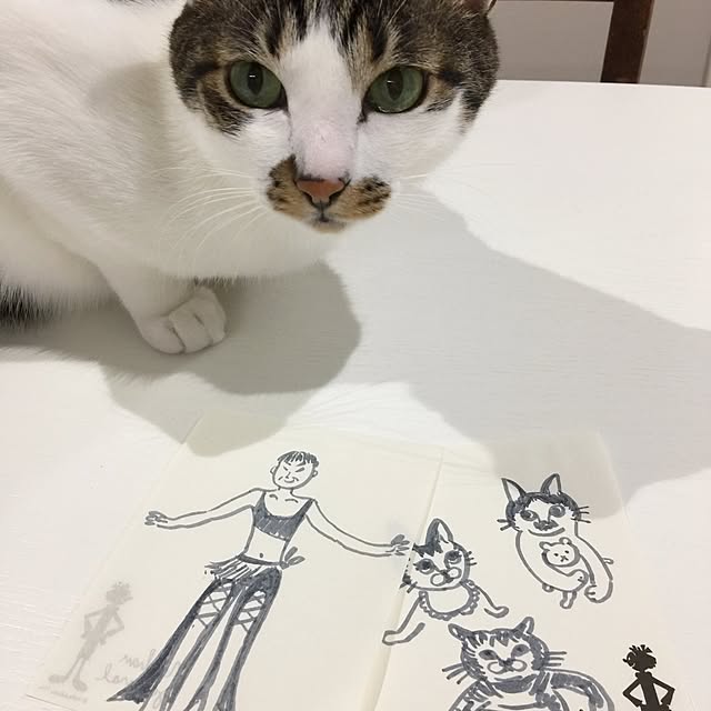 yuchiさんの実例写真