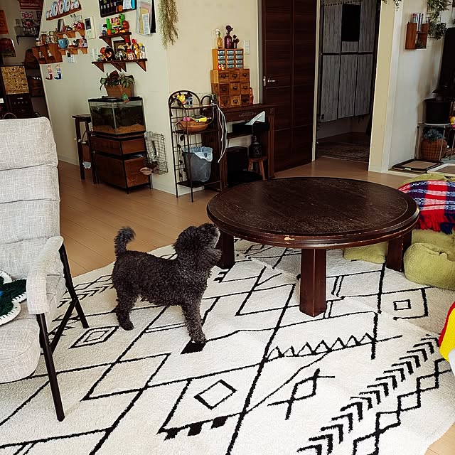 umeboshicyanさんの部屋