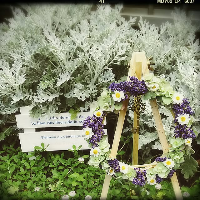 millsukeさんの実例写真