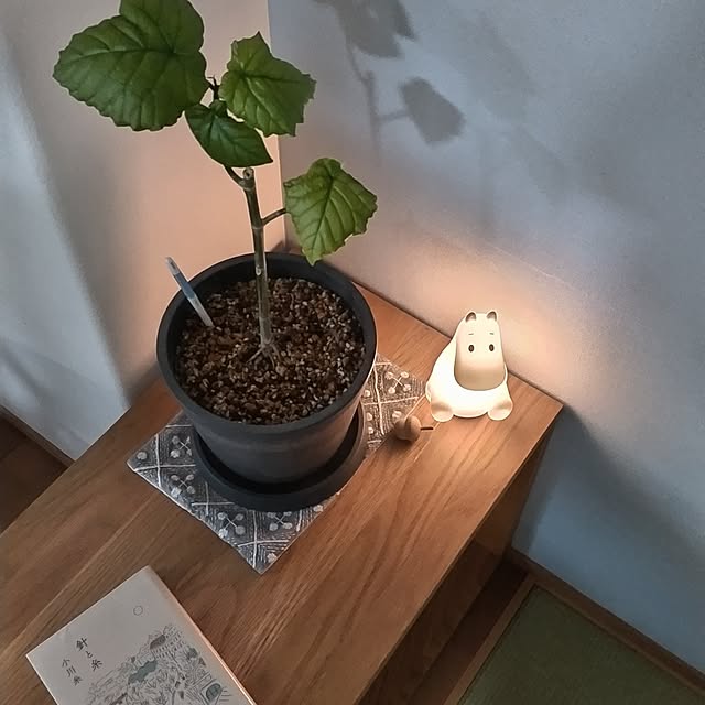 sakiさんの実例写真