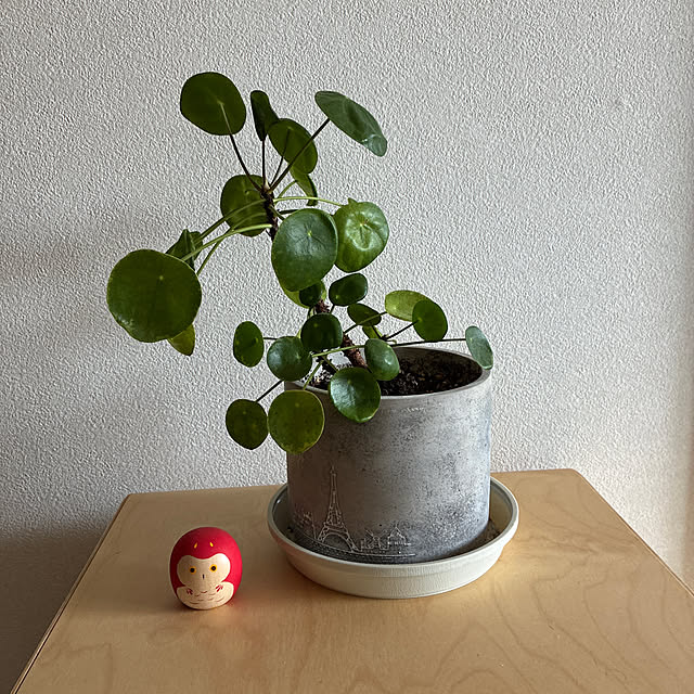 amber1118さんの実例写真