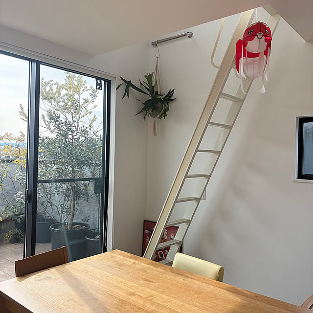 maaLさんの実例写真