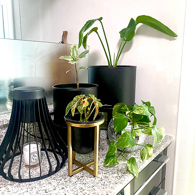 m.Reikoさんの部屋