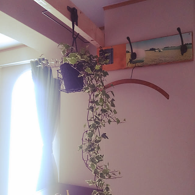 akkiy.415akishanさんの実例写真