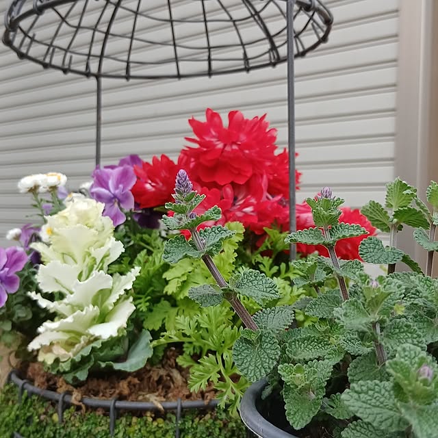 tomomiさんの部屋