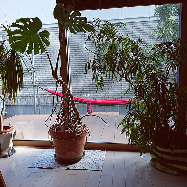 urchinさんの実例写真