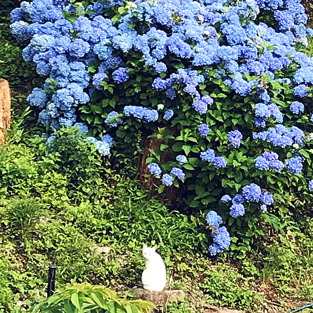 kanaさんの実例写真