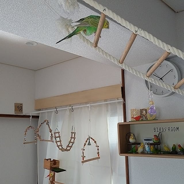 toratanさんの実例写真
