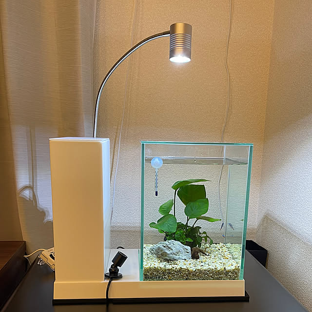 hanikamiさんの実例写真